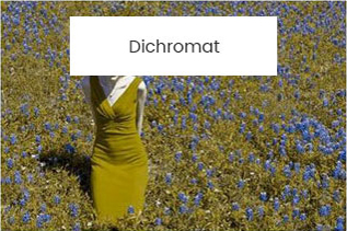 Dichromat-color-girl