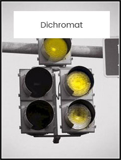 Dichromat-lights
