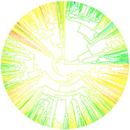 online-resources-icon