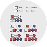 why-colorblind-icon