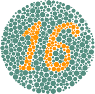PIP-24 demonstration plate showing the number 16