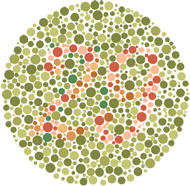 PIP-24 color vision test plate 5