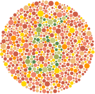 PIP-24 color vision test plate 2