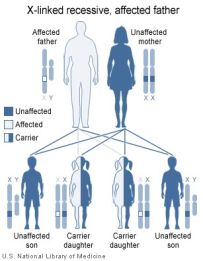 X-linked recessive inheritance when the father is affected