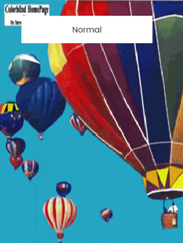Normal Parachute