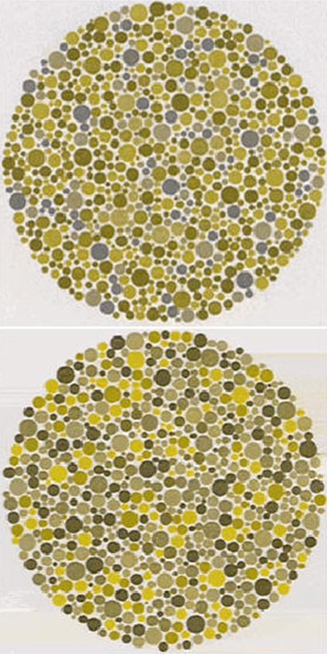 Protanope-number-test