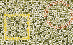 Test card 1 with a yellow square and a faint brown circle